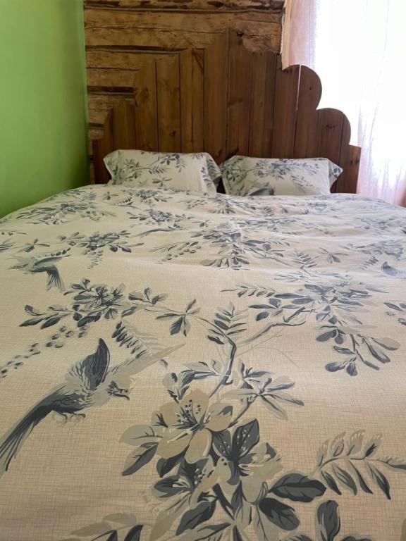Stebuklas Vilnius Ngoại thất bức ảnh